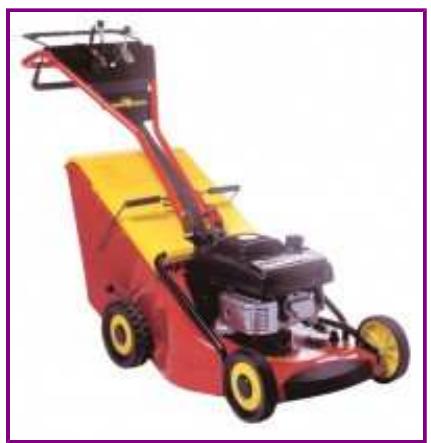 WOLF T51K2P - T51K2P - tondeuse thermique tractée 51 cm - 1