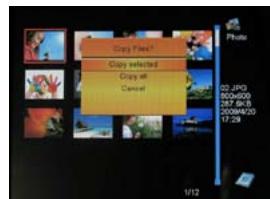 TELEFUNKEN DPF 10331 - - Copy your photos from the thumbnail mode - 2