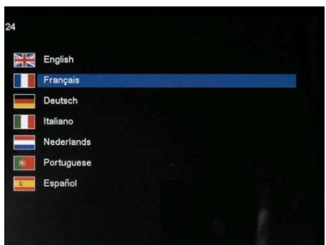 TELEFUNKEN DPF 10331 - Selezione della lingua - 1