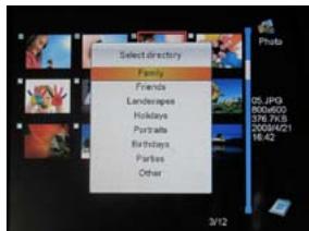 TELEFUNKEN DPF 7331 - TELEFUNKEN - 1