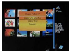 TELEFUNKEN DPF 9321 - - Copiar susotos mediate el modo de viñetas - 2