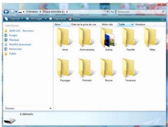 TELEFUNKEN DPF 9321 - - Reinicio del marco - 2