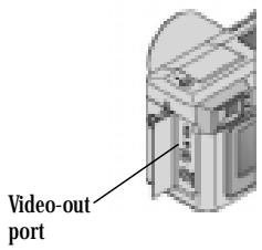 KODAK DC4800 - Running a Slide Show - 2