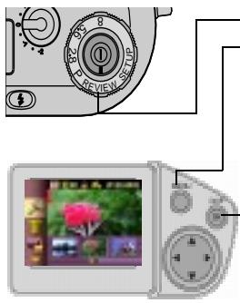 KODAK DC4800 - Magnifying Pictures - 2