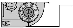 KODAK DC4800 - Viewing Camera Information - 1