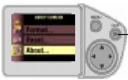 KODAK DC4800 - Viewing Camera Information - 2