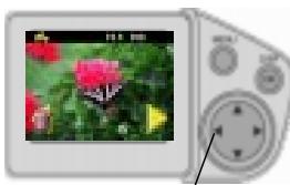 KODAK DC4800 - Viewing and Deleting the Last Picture - 2