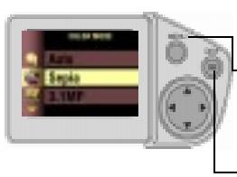 KODAK DC4800 - Selecting a Color Mode - 1