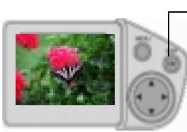 KODAK DC4800 - Previewing Your Picture - 2