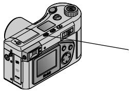 KODAK DC4800 - Shooting Distant and Close-Up Pictures - 1