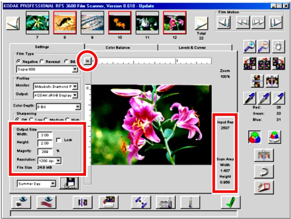 KODAK RFS 3600 - Output Size and Input Values (Width, Height, Lock, Magnify, Resolution, File Size) - 1