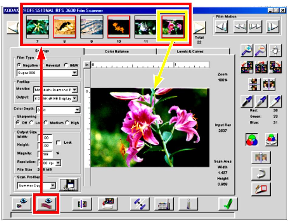 KODAK RFS 3600 - Prescan the full filmstrip. - 2