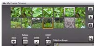 KODAK P520 - Viewing thumbnails - 1