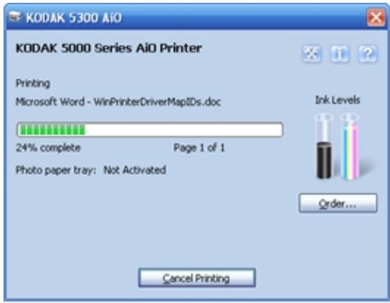 KODAK EASYSHARE 5300 - Printer Status - 1