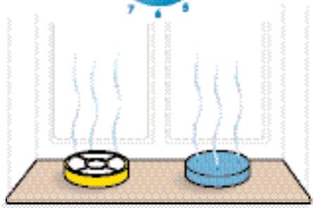DYSON DC15 - CAUTION - 7