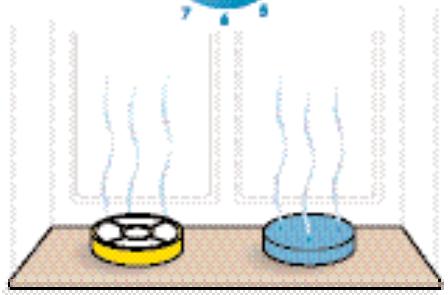 DYSON DC15 - Mise en GARDE - 7