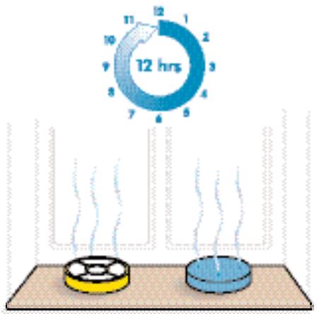 DYSON DC15 - PRECAUCION - 6