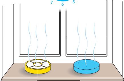 DYSON DC14 - Washing the filter - 4