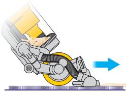 DYSON THE BALL - Zorb carpet powder - 6