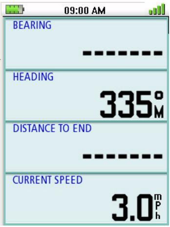 MAGELLAN TRITON 300 - Large Data Screen - 1