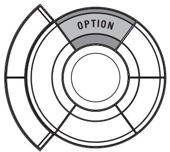 MAGELLAN ROADMATE 300R - Chapter 10: User Options - 1
