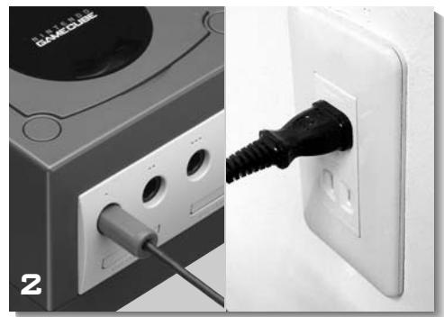 NINTENDO GAMECUBE SYSTEM - INPUT SELECT INFORMATION - 2