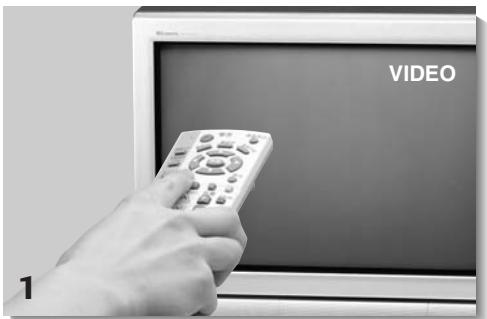 NINTENDO GAMECUBE SYSTEM - INPUT SELECT INFORMATION - 1