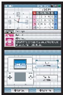 NINTENDO DS LITE - Options - 4