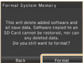 NINTENDO DS I XL - What data will be erased? - 1