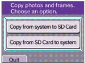 NINTENDO DS I XL - Copying Photos/Frames - 2