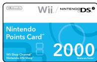 NINTENDO DS I XL - I cannot download new games from the Nintendo DSi Shop - 1