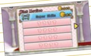 NINTENDO SUPER MARIO BROS.WII - Go to Pewch Castle for a hint! - 1