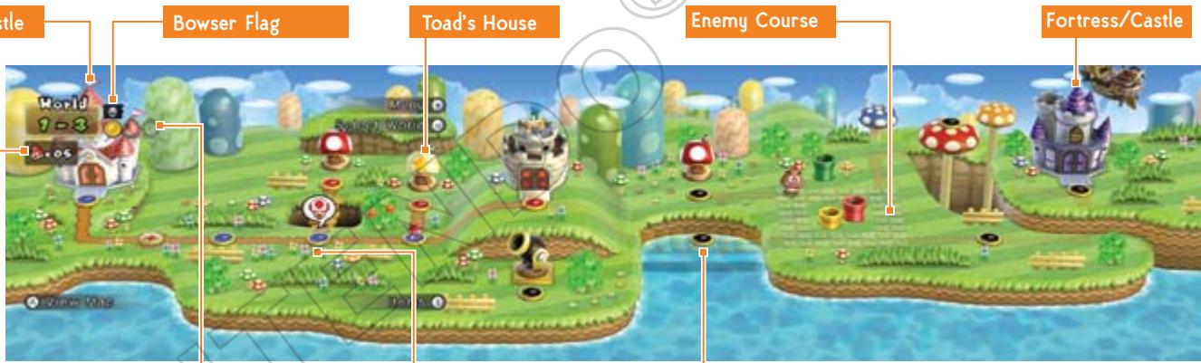 NINTENDO SUPER MARIO BROS.WII - Items - 5