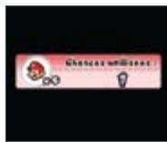 NINTENDO SUPER MARIO BROS.WII - Pertes de vie et fin de la partie - 2