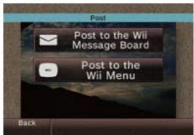 NINTENDO WII CHANNELS AND SETTINGS - Posting Photos to the Wii Message Board or Wii Menu - 2