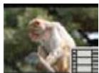 NINTENDO WII CHANNELS AND SETTINGS - Viewing Your Photos and Videos - 2