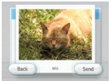 NINTENDO WII CHANNELS AND SETTINGS - Sending a Photo - 1