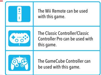 NINTENDO WII CHANNELS AND SETTINGS - Virtual Console Game Controllers - 2