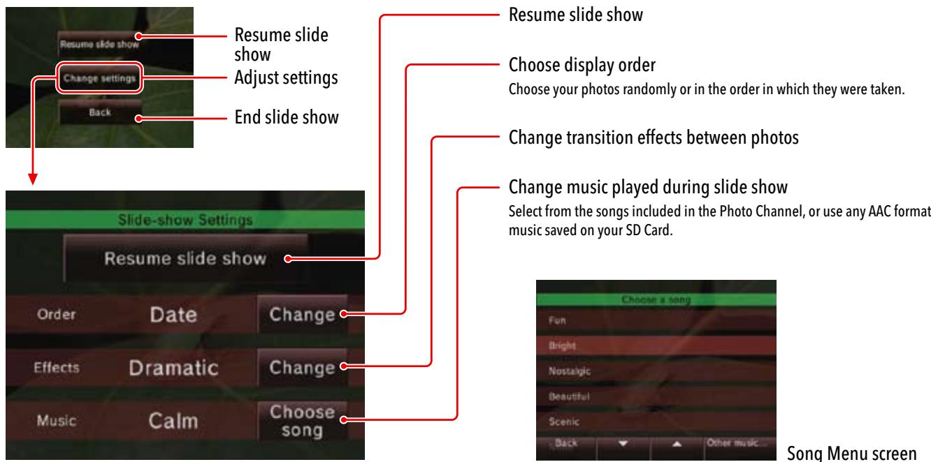 NINTENDO WII CHANNELS AND SETTINGS - Viewing Photos in a Slide Show - 1