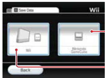 NINTENDO WII CHANNELS AND SETTINGS - Save Data - 1