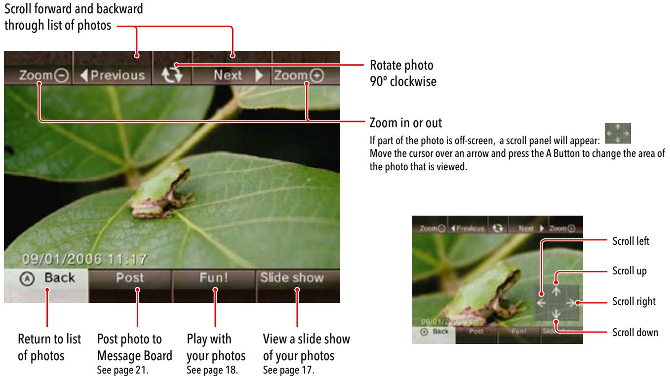 NINTENDO WII CHANNELS AND SETTINGS - Viewing a Photo Full Screen - 1