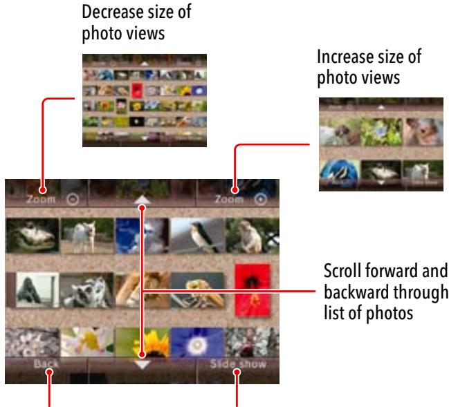 NINTENDO WII CHANNELS AND SETTINGS - Viewing Your Photos and Videos - 1
