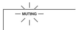 ONKYO HT-S780 - Muting the AV Receiver - 2