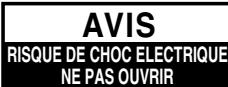 ONKYO TX-DS595 - WARNING RISK OF ELECTRIC SHOCK DO NOT OPEN - 1