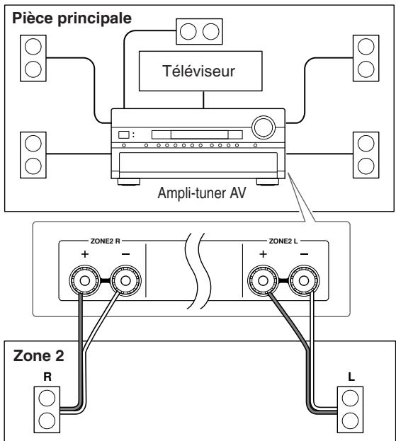 ONKYO TX-SR805 - Connexions - 1