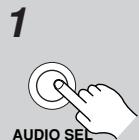 ONKYO TX-SR805 - Especificar el formatting debral digital - 2