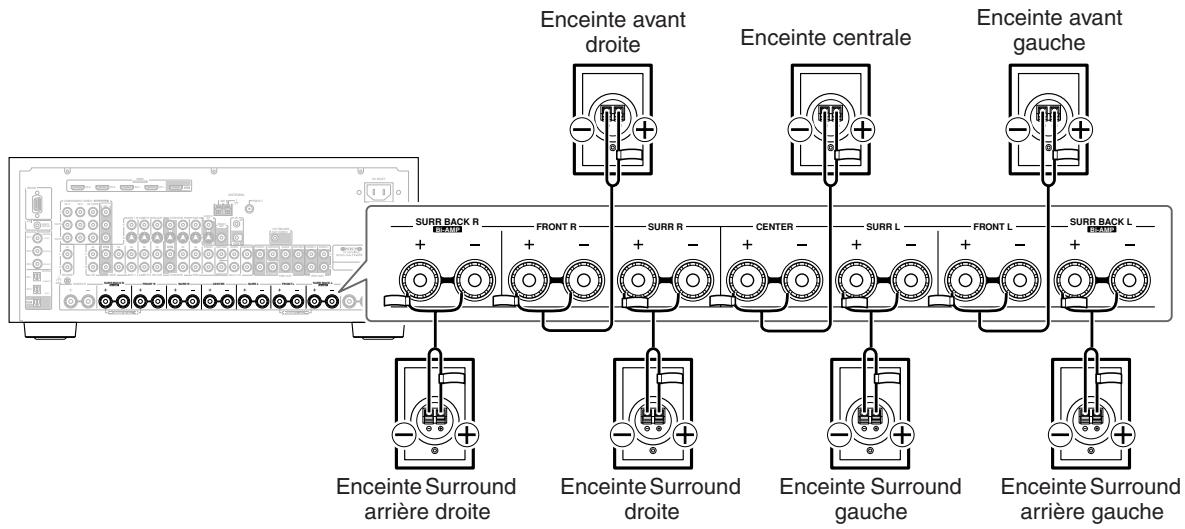 ONKYO TX-SR875 - Connexion des câbles d'enceintes - 5
