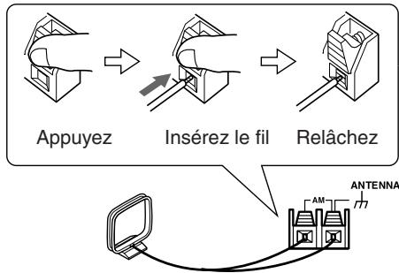 ONKYO TX-SR875 - Insérez les deux fils de l'antenne-cadre AM dans les bornes à pouvoir pour antenne AM. - 1
