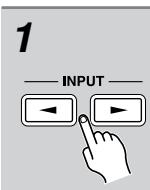 ONKYO CS-315 - Changing the Input Display - 2