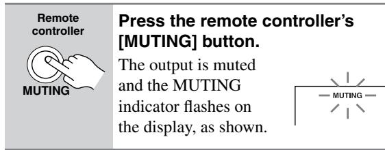 ONKYO HT-S3105 - Muting the AV Receiver - 1